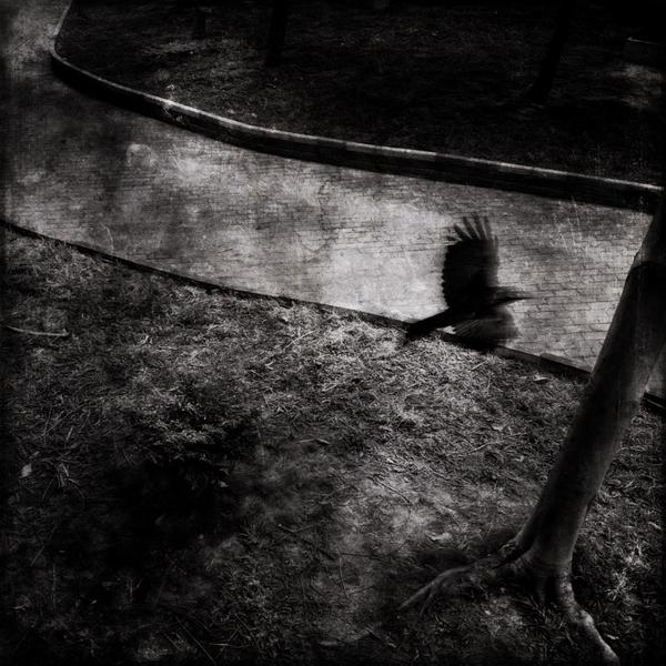 手机攻击器APP下载